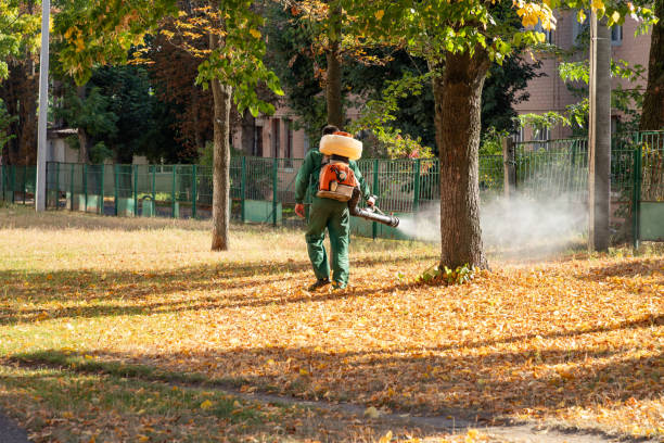 Best Affordable Pest Control Services  in Oakridge, OR